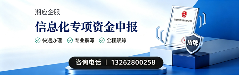 恩施信息化专项资金申报服务