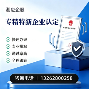恩施专精特新企业申报服务