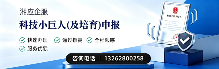 恩施科技小巨人及培育企业申报服务