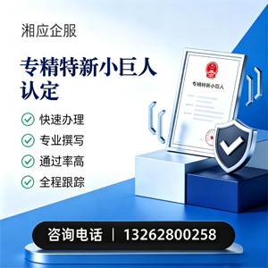 恩施专精特新小巨人申报服务