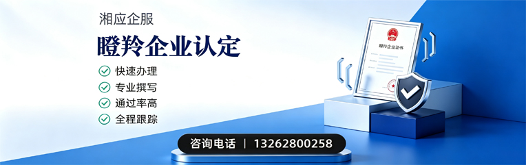 恩施瞪羚企业认定申报服务