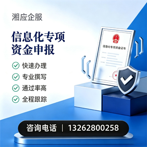 恩施信息化专项资金申报服务