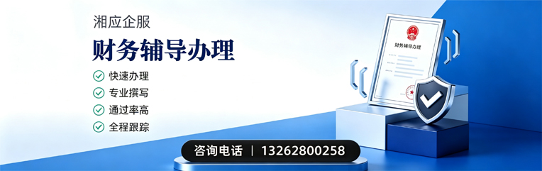 恩施财务辅导申请服务
