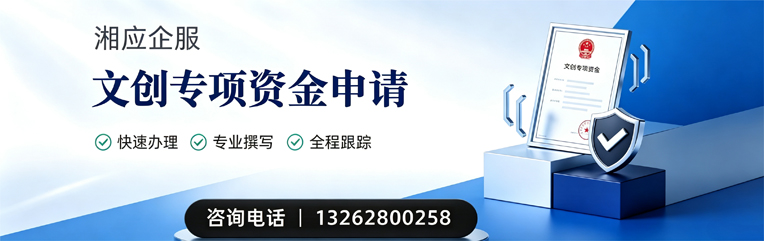 恩施文创专项资金申报服务
