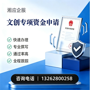 恩施文创专项资金申报服务