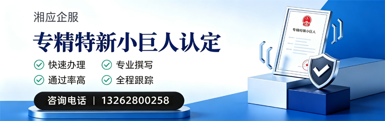 恩施专精特新小巨人申报服务